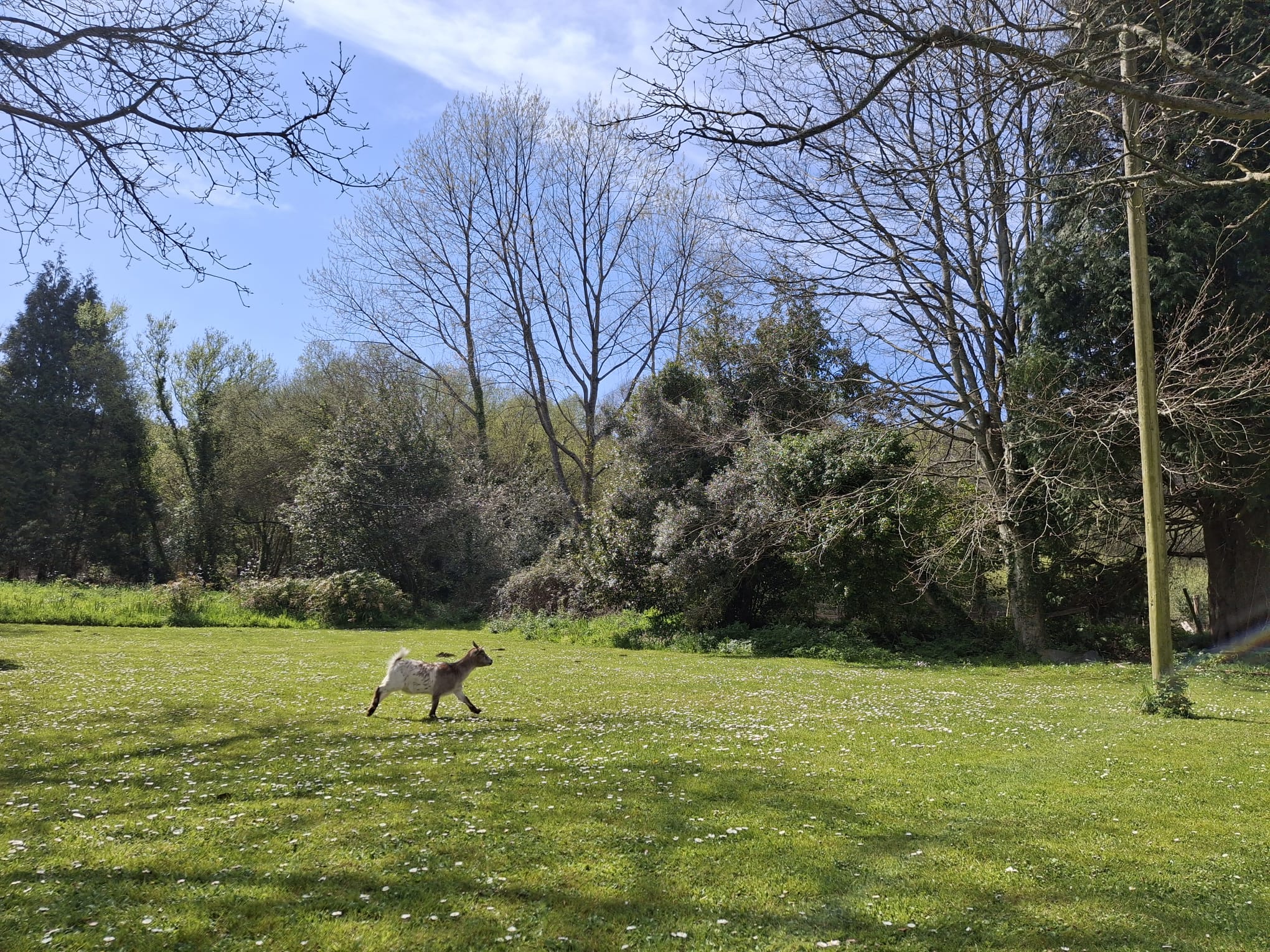 Galician July SurfTrip (20th - 26th of July) - Image 13