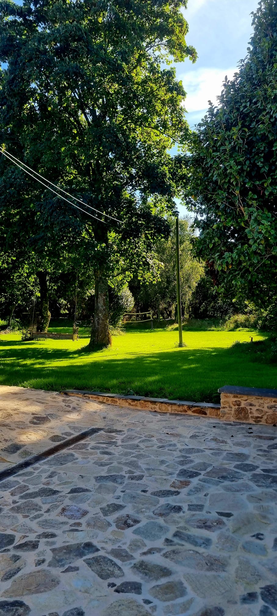 A part of our backyard, we have so much fun here!